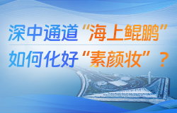 “海上鯤鵬”如何化好“素顏妝”？西人工島的暗埋段隧道，澆筑體量大、標準要求高。如何保證混凝土內(nèi)實外美，為“海上鯤鵬”化好“素顏妝”？