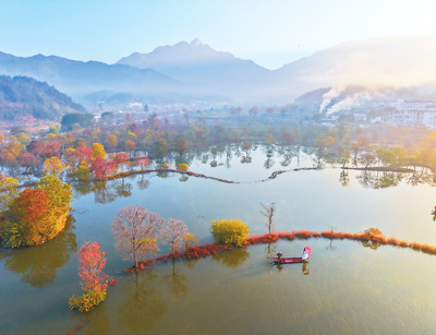 立冬臨近，湖北省黃岡市羅田縣九資河鎮(zhèn)紅葉觀賞帶，烏桕樹葉燦爛如霞，吸引了眾多游客前來(lái)觀賞。 王 江攝（人民視覺）