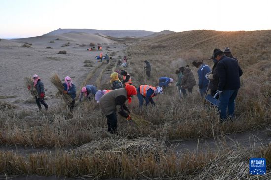 12月24日，在金塔縣鼎新鎮(zhèn)境內的巴丹吉林沙漠邊緣，工人在進行壓沙作業(yè)。新華社記者 范培珅 攝