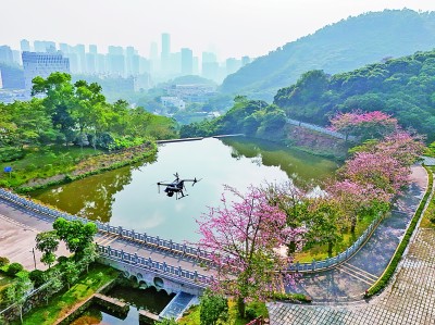 無人機(jī)在深圳塘朗山郊野公園里巡檢。新華社發(fā)